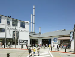 Ehdd Mba Bruce%20 Damonte%203 Ehdd Mba Bruce%20 Damonte%203