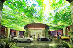 Rainforest%204 Rainforest%204