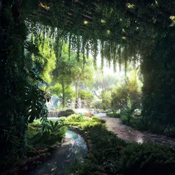 Rainforest Rainforest