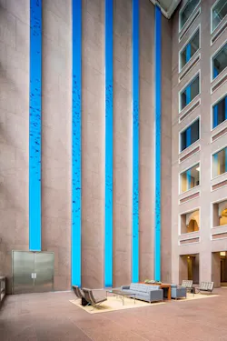 Lobby Birds Lobby Birds