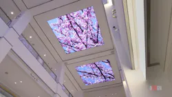 Flowering trees shown on ESI Design's new digital installation Flowering trees shown on ESI Design's new digital installation