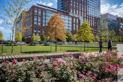 Kebony%20 Clear Eager%20 Park %28c%29 Hometrack%20%2852%29 Low%20res Kebony%20 Clear Eager%20 Park %28c%29 Hometrack%20%2852%29 Low%20res