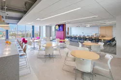 The APA's new office The APA's new office