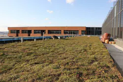 Us%20 Coast%20 Guard%20 Hq%20 Article5 Us%20 Coast%20 Guard%20 Hq%20 Article5