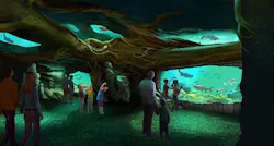 St. Louis Aquarium exhibits St. Louis Aquarium exhibits
