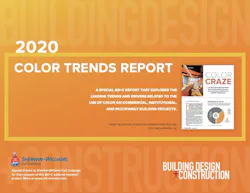 Bdc%202020 Color%20 Trends%20 Report Final 1 Bdc%202020 Color%20 Trends%20 Report Final 1