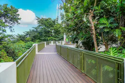 El Yunque Visitor’s Center exterior path El Yunque Visitor’s Center exterior path