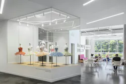 Display Case Display Case