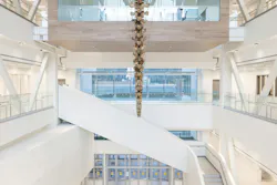 MUN STEM building int 2 MUN STEM building int 2