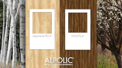 Japanese Birch and Wild Plum Japanese Birch and Wild Plum