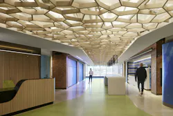 Confidential Technology Client Headquarters, Chicago, Ill. The west-facing Boulevard pre-function anchors the space, highlighting the fluid architecture and bespoke ceiling reminiscent of tree cover and natural materials Confidential Technology Client Headquarters, Chicago, Ill. The west-facing Boulevard pre-function anchors the space, highlighting the fluid architecture and bespoke ceiling reminiscent of tree cover and natural materials