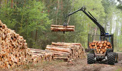 Photo © Vladvitek | Dreamstime.com Photo © Vladvitek | Dreamstime.com