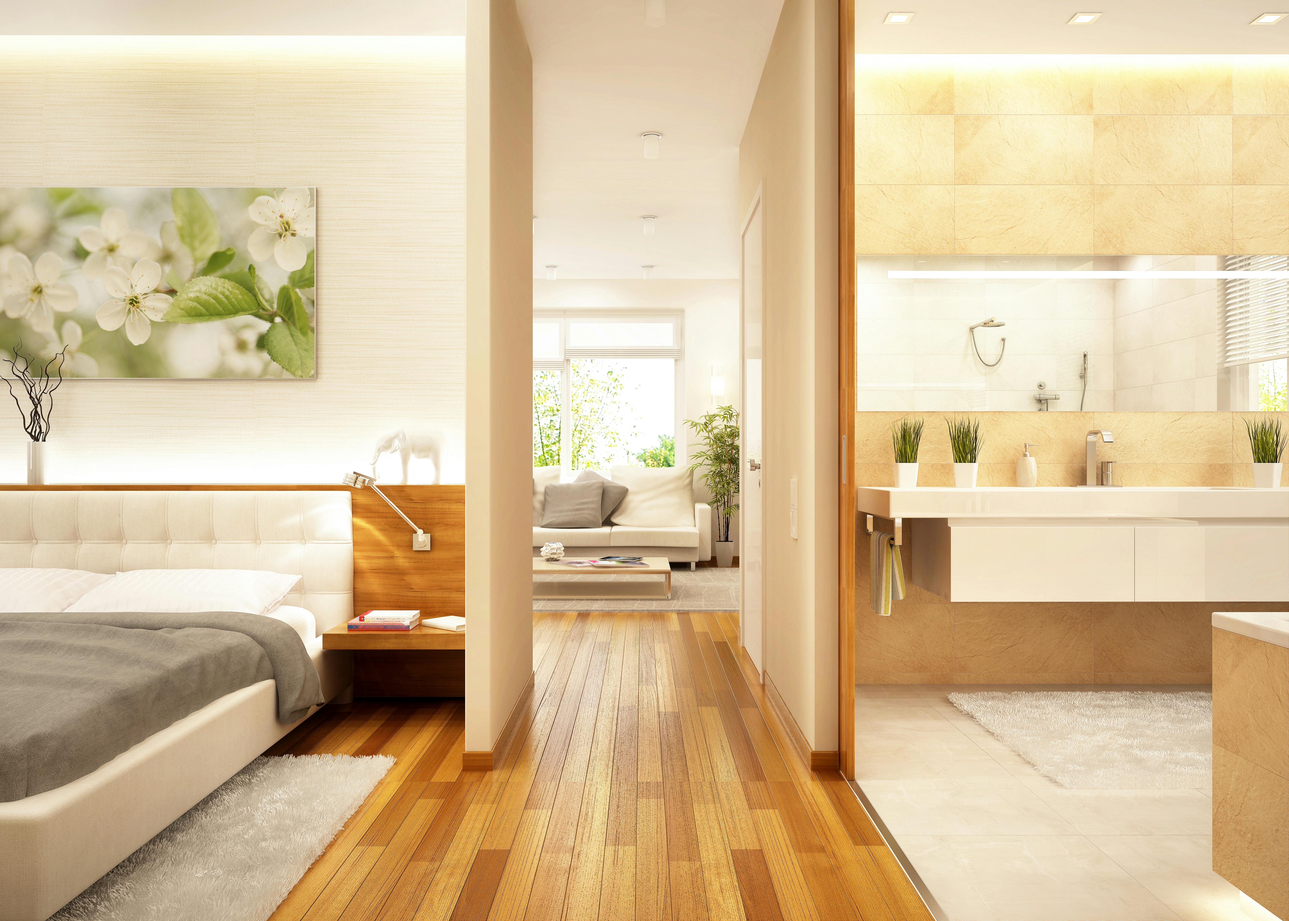 Modern large apartment with living room, bathroom and bedroom