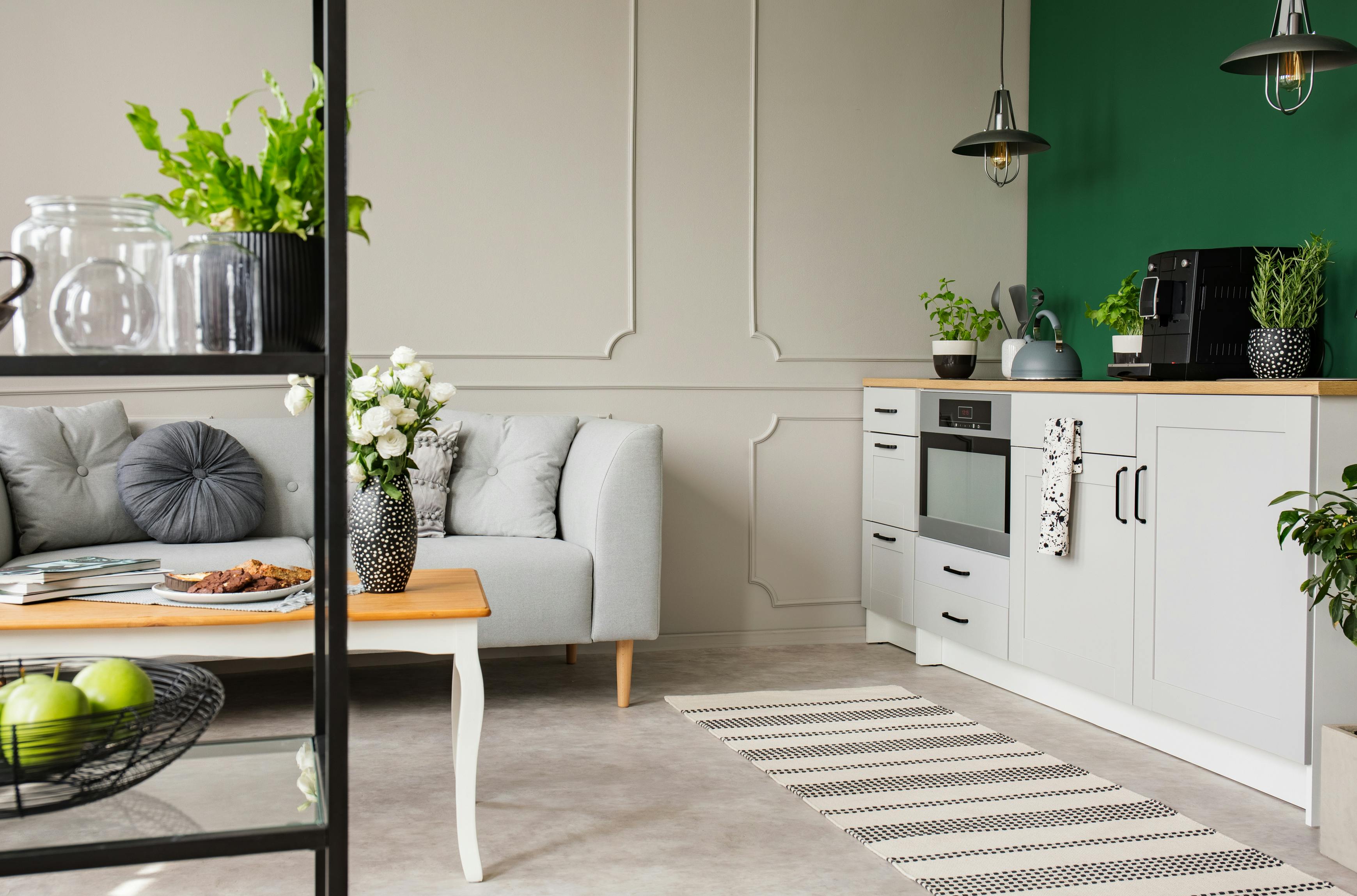 Empty green wall with copy space in elegant kitchen with white furniture,plants and coffee machine in stylish small micro-apartment with grey couch