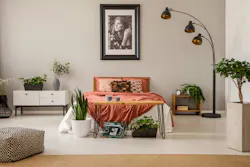 king size bed with rust color bedding in spacious bedroom interior of modern apartment, real photo king size bed with rust color bedding in spacious bedroom interior of modern apartment, real photo