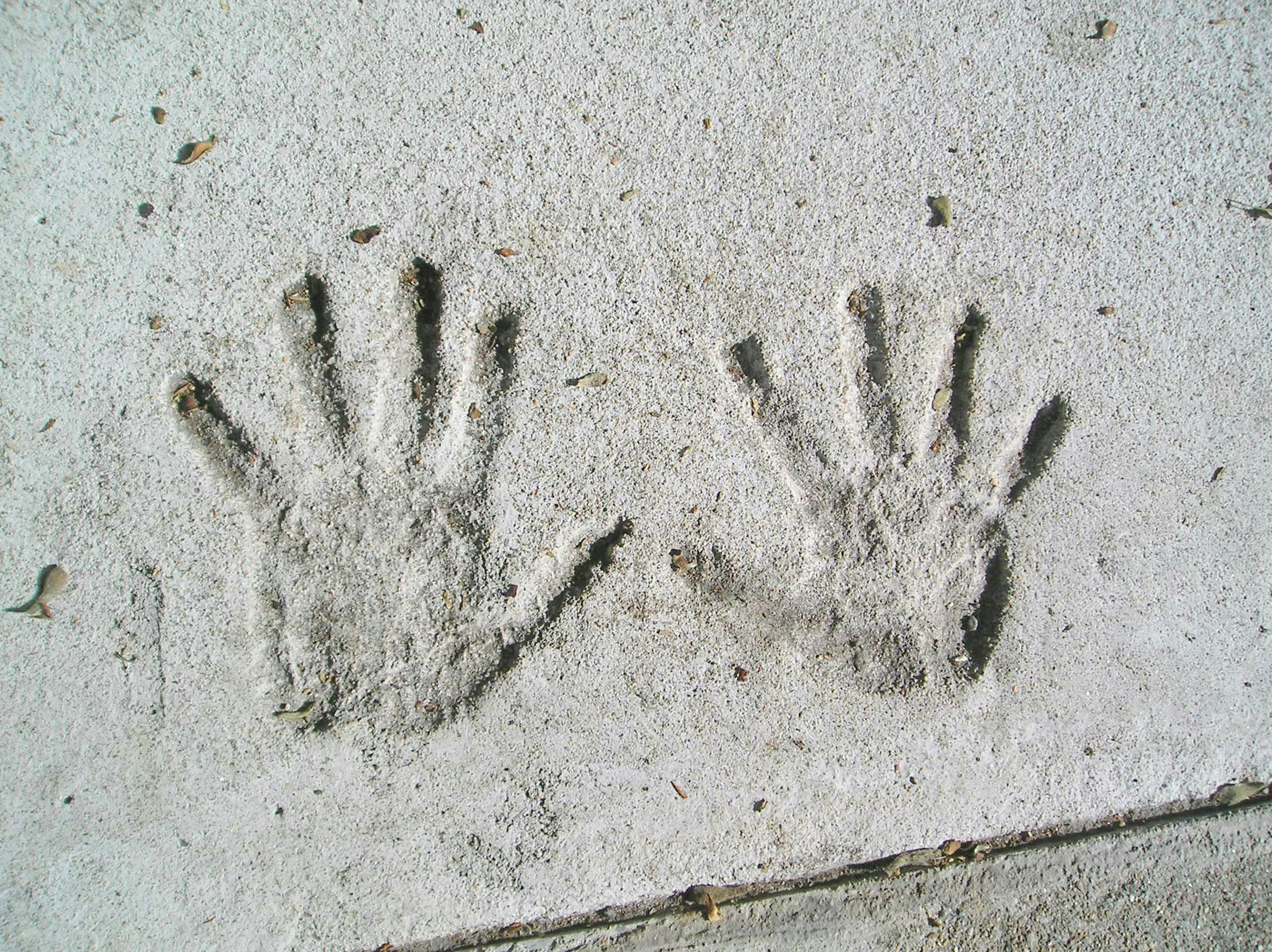 Handprints in Cement. A child s handprints in the cement of a sidewalk along Beacon Street in Boston