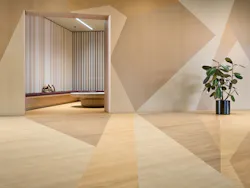 tarkett_acczent tarkett_acczent