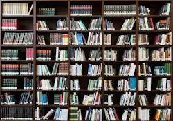 Image by Ahmad Ardity from Pixabay Image by Ahmad Ardity from Pixabay