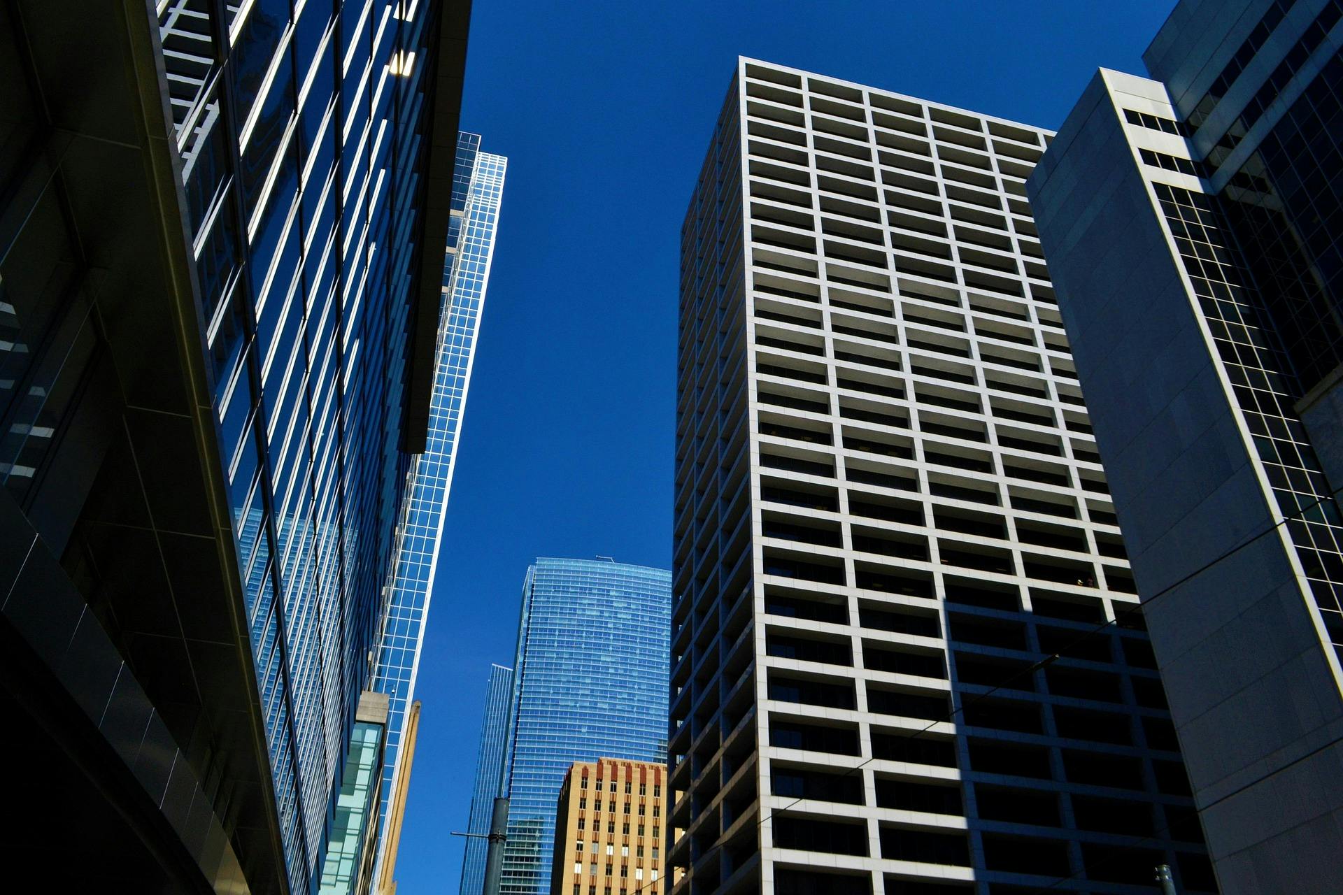 Image by F. Muhammad from Pixabay