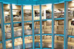 Image by GREGOR from Pixabay Image by GREGOR from Pixabay