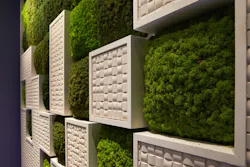 Innovation_Gallery_Darkroom_Living_Wall_%28close-up%29_Credit_Hilton_Hotels Innovation_Gallery_Darkroom_Living_Wall_%28close-up%29_Credit_Hilton_Hotels