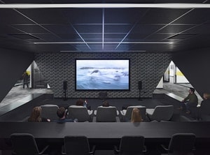 1651069254124 Rockfon Cinemablack