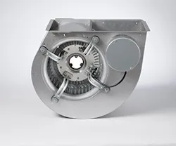 1651070120005 Regal 1651070120005 Regal