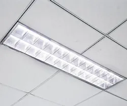 1651070917332 Eggcarton 1651070917332 Eggcarton