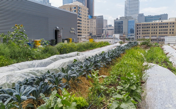 1651071475922 Rooftoppests