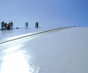 1651072491882 B 0613 Products Sikasarnafil