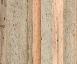 B_0213_Products_Kirei B_0213_Products_Kirei