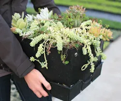 1651072912589 B 0212 Products Liveroof 1651072912589 B 0212 Products Liveroof