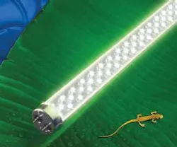 1651073259945 B 0612 Moneysaving16 Ledtronics 1651073259945 B 0612 Moneysaving16 Ledtronics