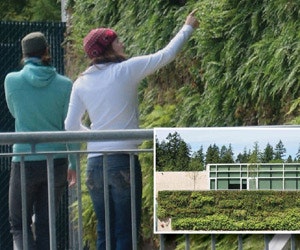 1651074113067 Green Wall Benefits Sustainability