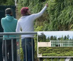 1651074113067 Green Wall Benefits Sustainability 1651074113067 Green Wall Benefits Sustainability