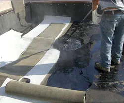 B_0510_RN_BlackWhite_tn B_0510_RN_BlackWhite_tn