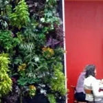 B_0410_GF_WonderWall_tn B_0410_GF_WonderWall_tn