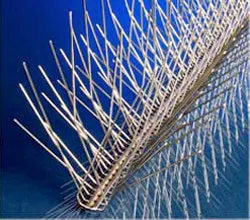 1651075914816 B 0208 Cs Nixalite2 1651075914816 B 0208 Cs Nixalite2