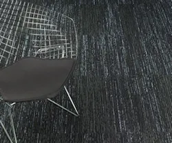 1651532754307 B 0312 Product Txstyle Mannington 1651532754307 B 0312 Product Txstyle Mannington