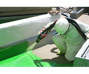 1651535169530 Bld Rn 8812 Prod Verdiseal