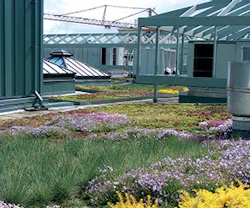 1651537377447 B 0315 Products Seamancorp 1651537377447 B 0315 Products Seamancorp