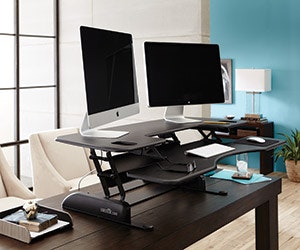 1651538133231 B 0116 Products Varidesk