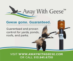 AwG_Animation_300x250-02