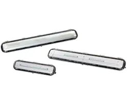 1651539078906 Appleton 1651539078906 Appleton