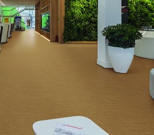 1651539598155 09 Lonseal