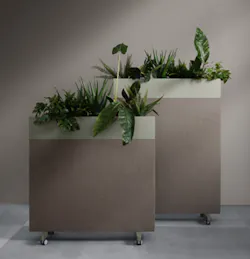 1651540397199 Zorla With Plants 1651540397199 Zorla With Plants