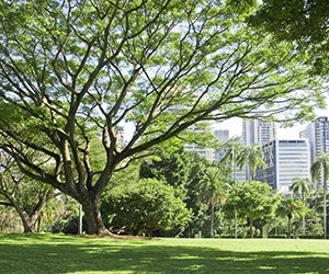 1652185922958 B 0316 News Green