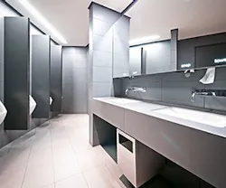 1652186232692 B 0116 Buzz Bathroom 1652186232692 B 0116 Buzz Bathroom