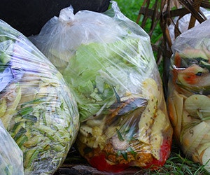 1652187709392 1125news