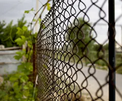 1652188262744 B 0315 Newsfeed Fence 1652188262744 B 0315 Newsfeed Fence